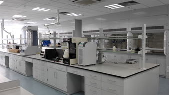 工業凈化與實驗設備 包頭鋼木通風柜與全鋼實驗臺廠家的專業指南