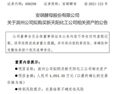 安琪酵母子公司擬購入新天陽化工相關(guān)資產(chǎn) 進一步優(yōu)化產(chǎn)業(yè)布局